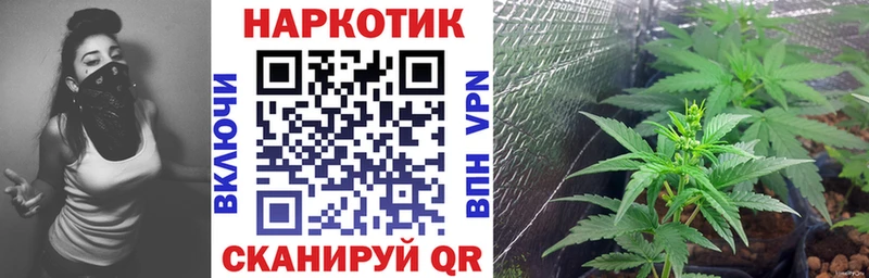 Где найти наркотики Качканар Амфетамин  Меф мяу мяу  Cocaine  Alpha-PVP  ГАШИШ  БУТИРАТ  Бошки Шишки 