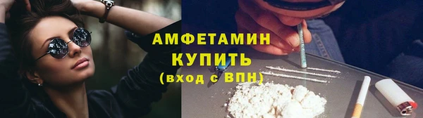 ГАЛЛЮЦИНОГЕННЫЕ ГРИБЫ Переславль-Залесский