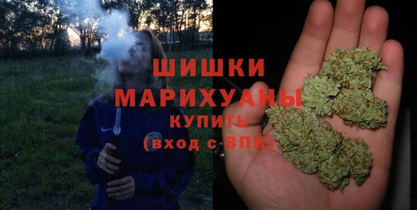 крисы Пестово