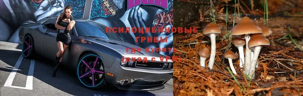 спиды Алексин