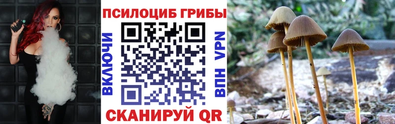 Галлюциногенные грибы мухоморы Качканар